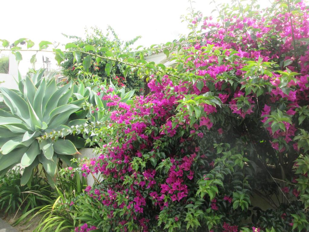 Quinta da Maria room 4